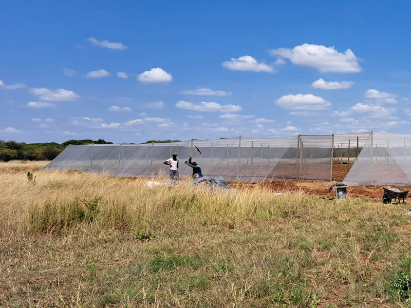 Drip Irrigation Project 1